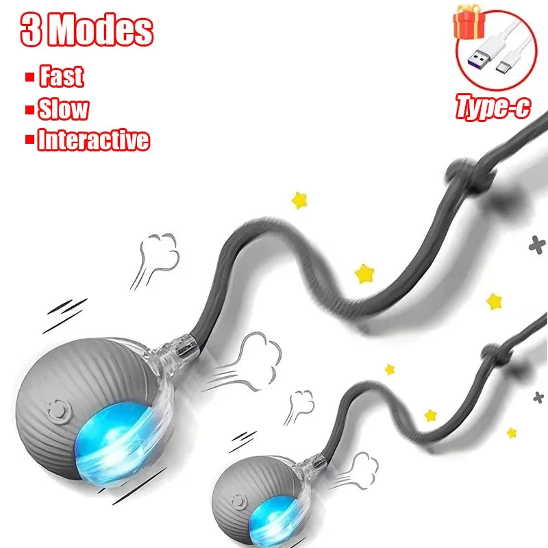 Cat Interactive dall toy™