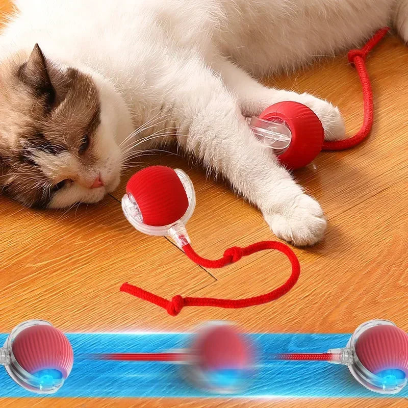 Cat Interactive dall toy™