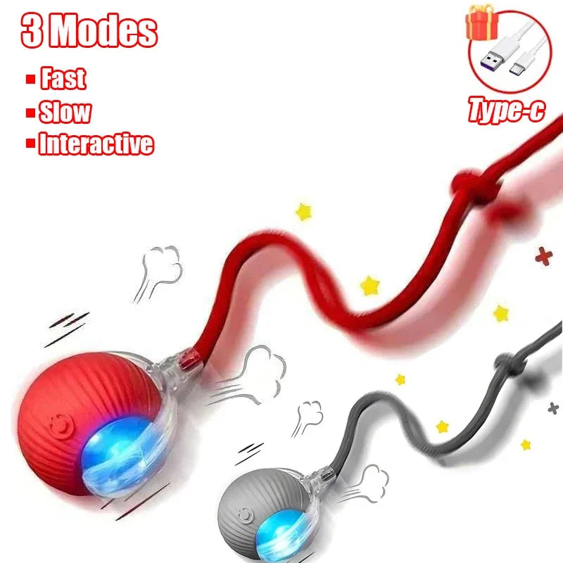 Cat Interactive dall toy™