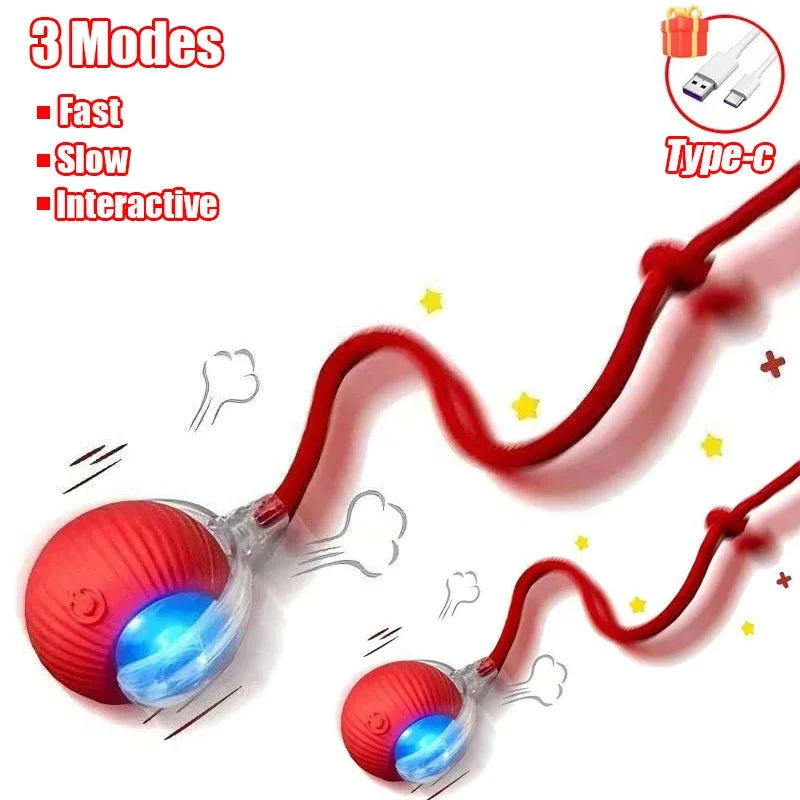 Cat Interactive dall toy™