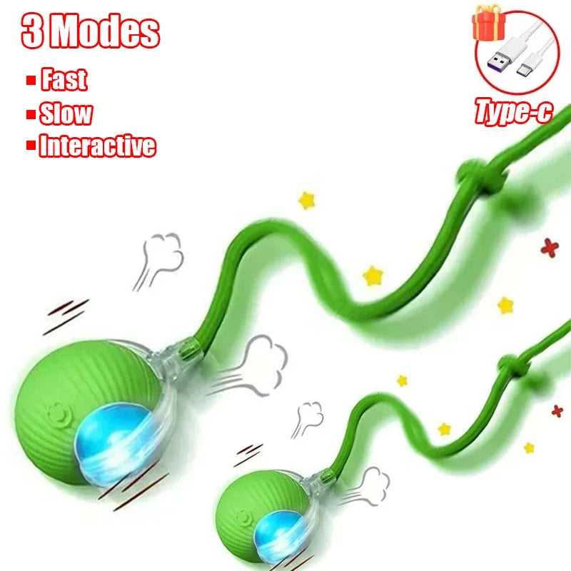 Cat Interactive dall toy™