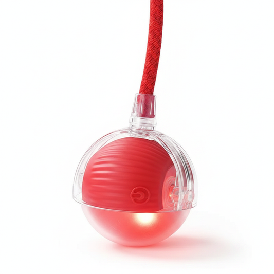 Cat Rolling Ball Toy — Google Shopping